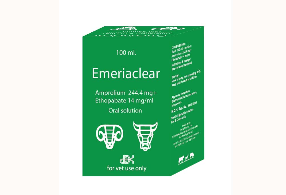 Dbk solution essay example 07 picture